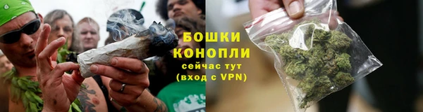 дурь Алексеевка