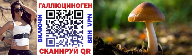 Галлюциногенные грибы мицелий  где можно купить   Владивосток 