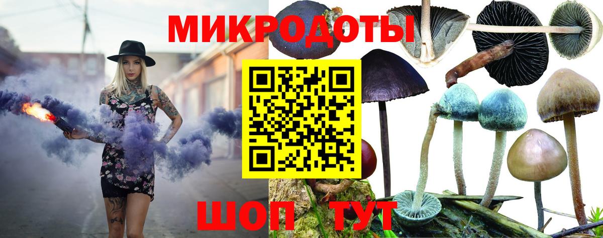 Галлюциногенные грибы Psilocybe Владивосток